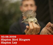 Slapton Leys Bird Ringers